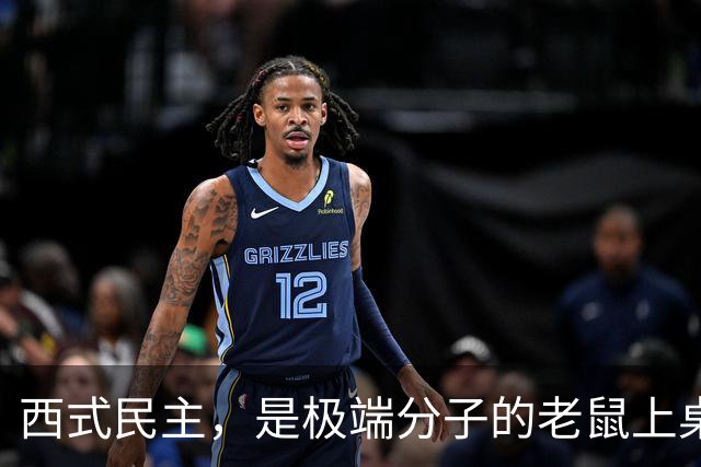 西式民主,是极端分子的老鼠上桌